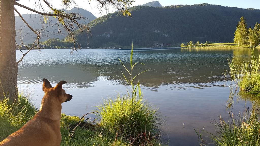 Chalet Glockenhof Walchsee Dış mekan fotoğraf